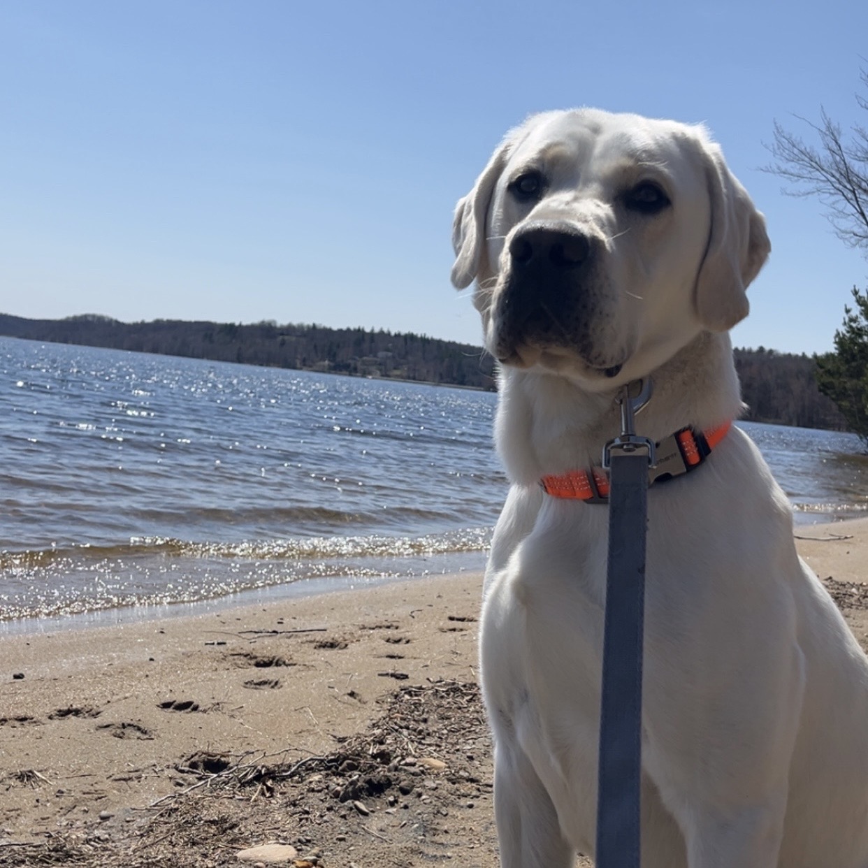 CjYKMlNuYXBjaGF0LzEzLjM3LjAuNDYgKGlQaG9uZTE0LDU7IGlPUyAxOC4zLjI7IGd6aXApIAI=