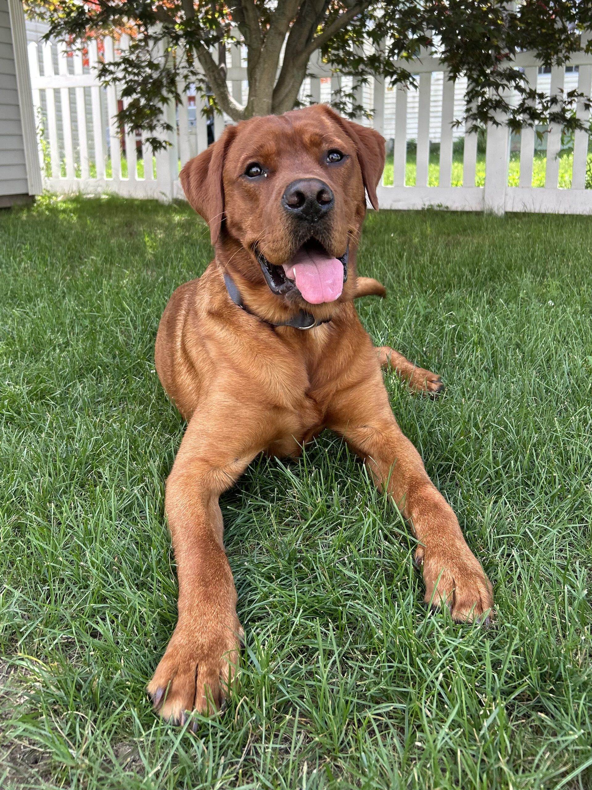 77255708159__E223EB2D-F7BD-4440-8CDE-196ED977F4F1